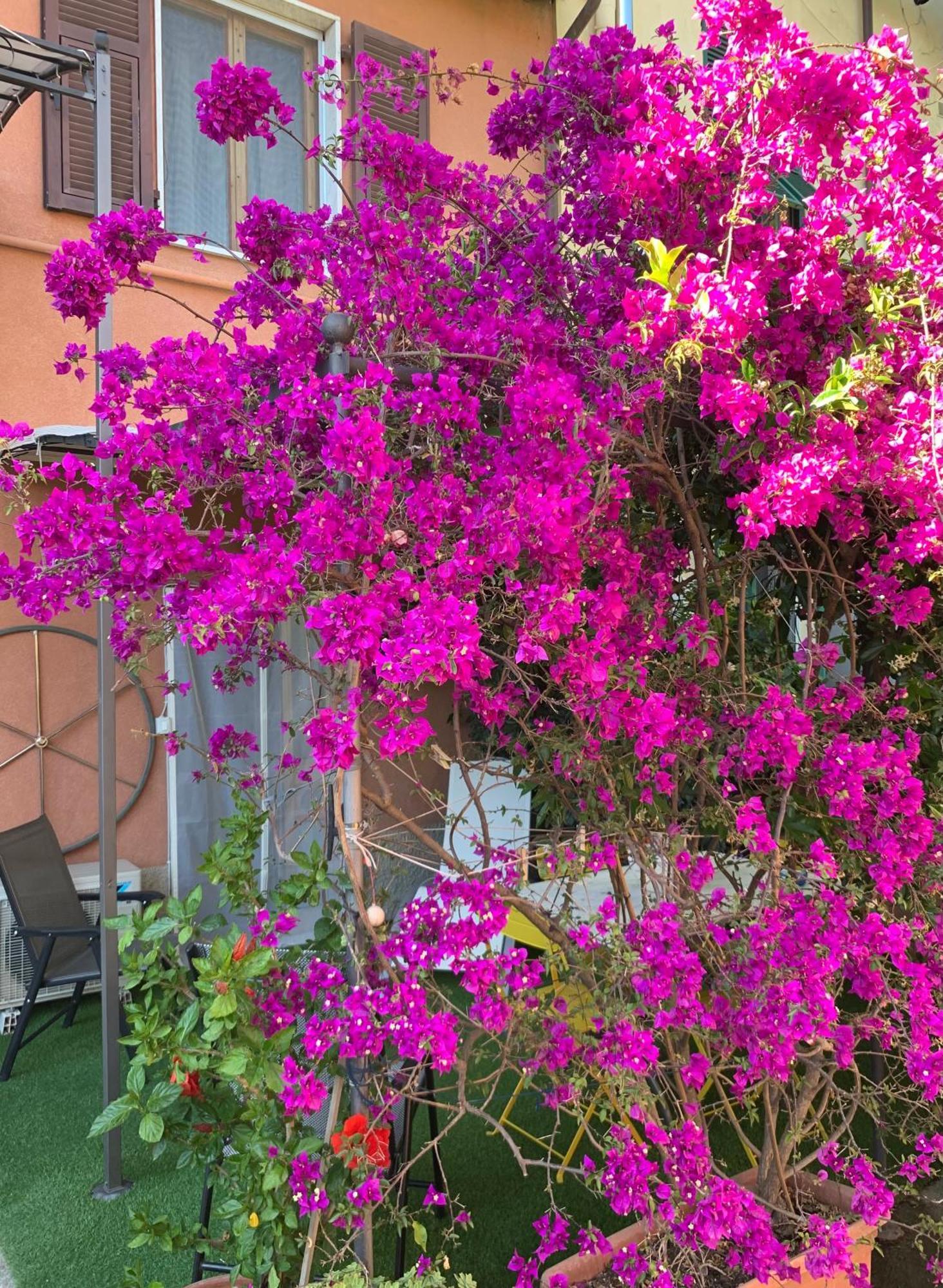 Apartamento Desiree La Spezia Exterior foto
